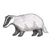 Adding badgers would be more gamification than badges.