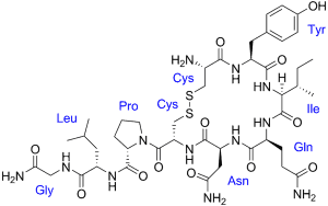 1280px-Oxytocin_with_labels