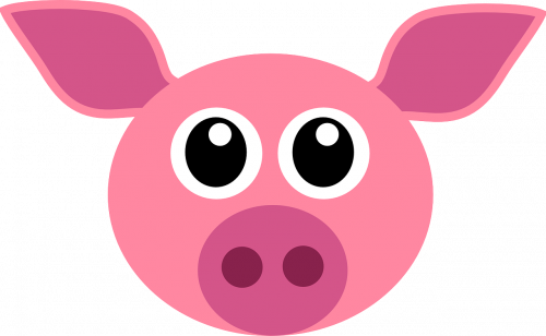 Pig 1535532496 500x308 Pig
